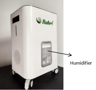 hydrogen absorption